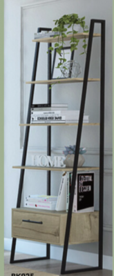 Brooklyn Ladder Shelf Unit