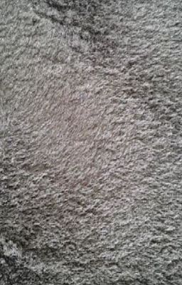 Dazzle Rug 120 x 170 - Grey